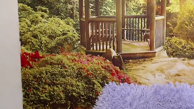 Pavla Soft online show from 24, 4, 2026