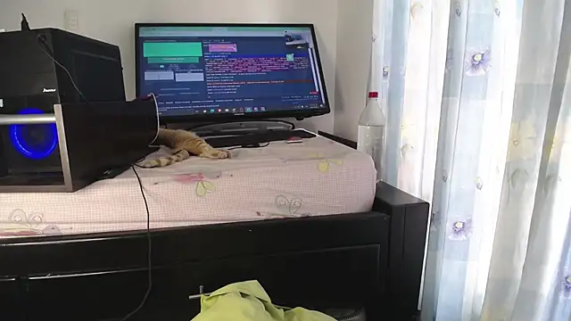 Snapshot of eolicasex chatting on 19, 1, 2025 eolicasex online show from 19, 1, 2025