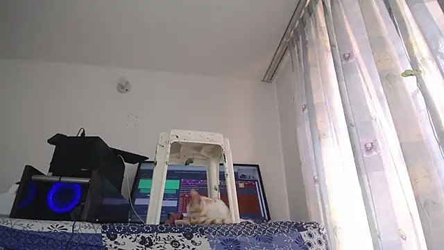 Snapshot of eolicasex chatting on 1, 2, 2025 eolicasex online show from 1, 2, 2025