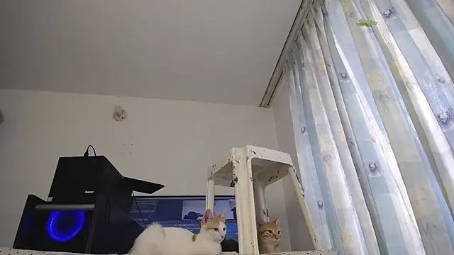 Snapshot of eolicasex chatting on 7, 3, 2025 eolicasex online show from 7, 3, 2025