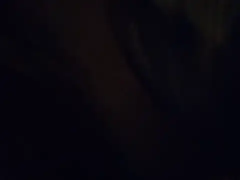 420pussylickr online show from 30, 7, 2026