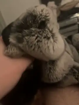 Furdale online show from 24, 1, 2025