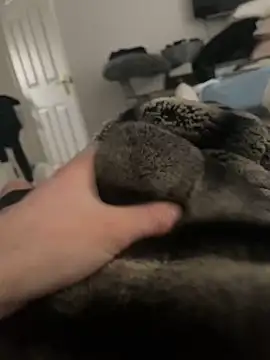 Furdale online show from 16, 2, 2025