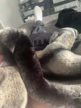 Furdale online show from 22, 2, 2025