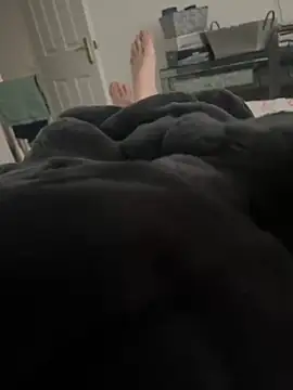 Furdale online show from 6, 3, 2025