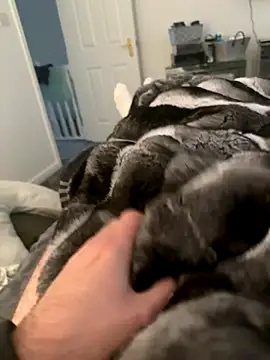 Furdale online show from 10, 9, 2025