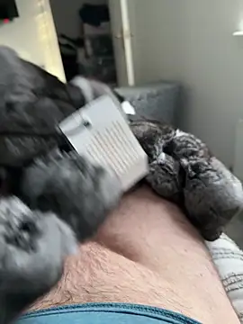 Furdale online show from 19, 9, 2025