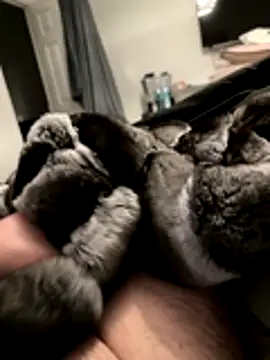 Furdale online show from 18, 11, 2025