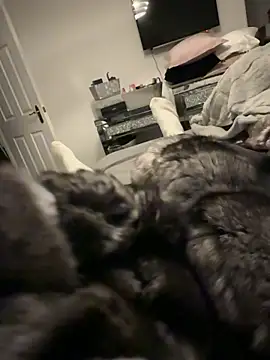 Furdale online show from 17, 12, 2025