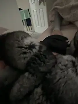 Furdale online show from 9, 4, 2026