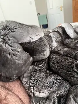 Furdale online show from 23, 4, 2026