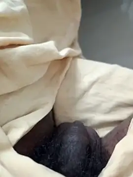 malluflash online show from 15, 4, 2026