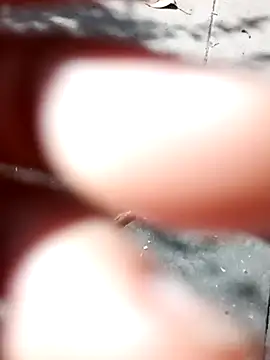 rodovlaz online show from 30, 3, 2026