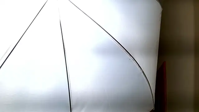 Ledy Mary online show from 8, 11, 2025