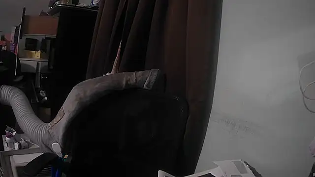 nickytheehawtie online show from 8, 7, 2026