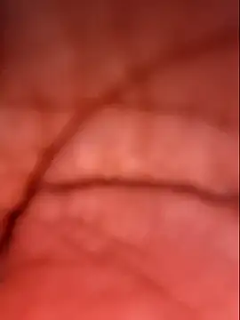 Samia Queen online show from 4, 10, 2025