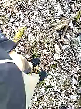 Boring one online show from 3, 2, 2025