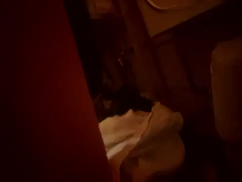 Dannadcz online show from 24, 3, 2026