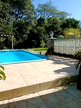 dutra498 online show from 9, 2, 2026