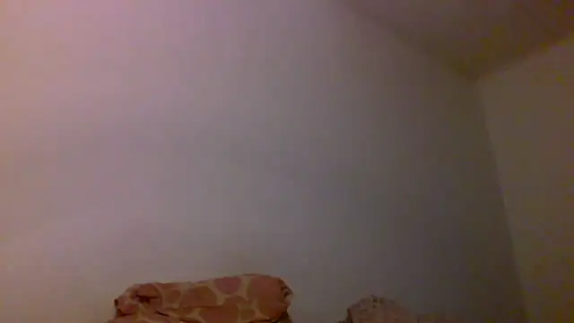 Snapshot of Kaappi1967 chatting on 17, 12, 2025 Kaappi1967 online show from 17, 12, 2025