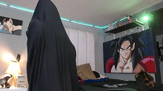 bardock 1 online show from 13, 2, 2025