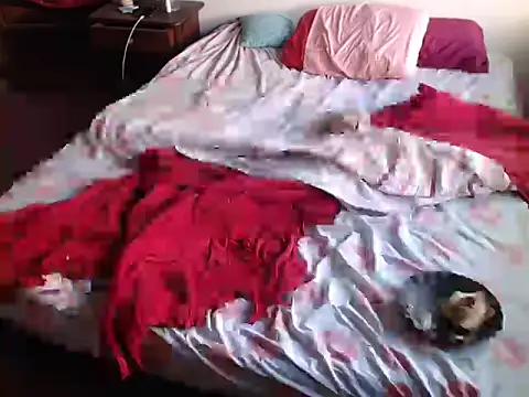 deftoolceles online show from 23, 3, 2026