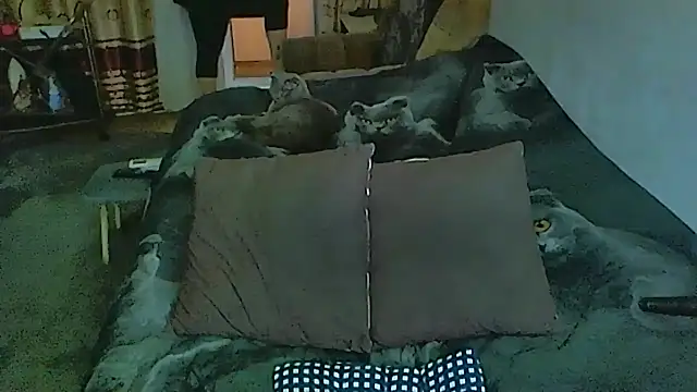 sex2 online show from 4, 12, 2025