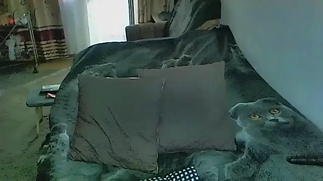 sex2 online show from 23, 4, 2026