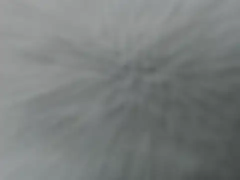 Lauren baby online show from 16, 12, 2025