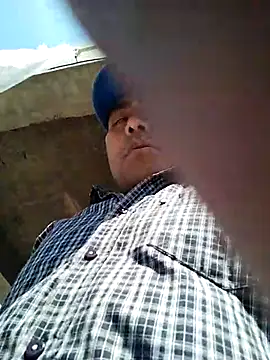 Pitercom online show from 19, 3, 2025