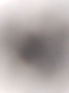 Pitercom online show from 20, 9, 2025