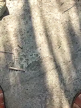 Pitercom online show from 12, 11, 2025