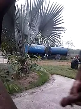 Pitercom online show from 4, 4, 2026