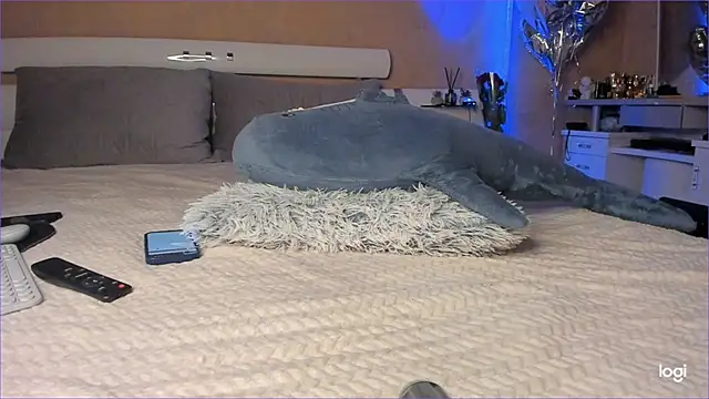 Snapshot of Diamond_D_ chatting on 16, 10, 2025 Diamond D online show from 16, 10, 2025