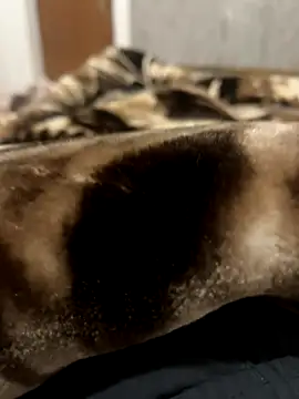 Snapshot of bigshow112 chatting on 13, 11, 2025 bigshow112 online show from 13, 11, 2025