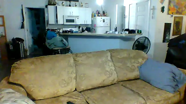 Yankeedave420 online show from 29, 1, 2025