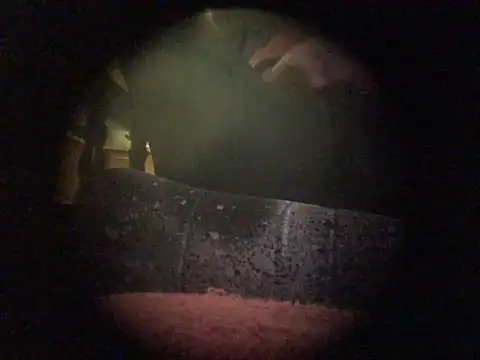 Snapshot of translove chatting on 9, 12, 2024 translove online show from 9, 12, 2024