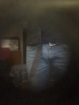 Snapshot of translove chatting on 16, 12, 2024 translove online show from 16, 12, 2024