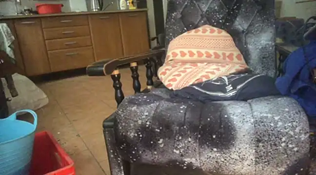 Snapshot of translove chatting on 5, 1, 2025 translove online show from 5, 1, 2025