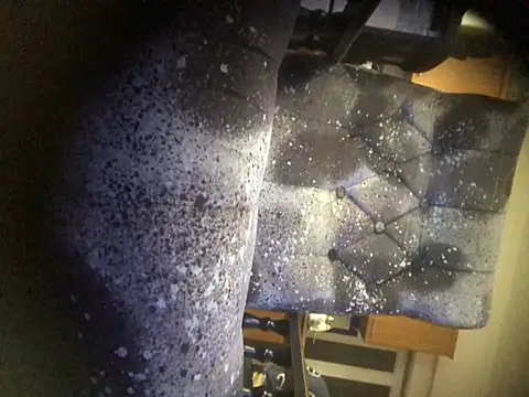 Snapshot of translove chatting on 2, 2, 2025 translove online show from 2, 2, 2025