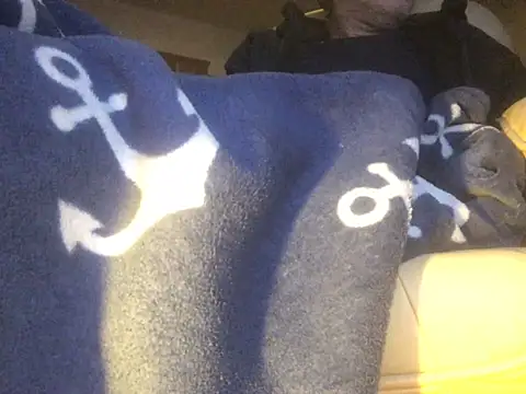 Snapshot of translove chatting on 14, 2, 2025 translove online show from 14, 2, 2025