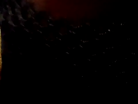 BIG-CkD F online show from 27, 4, 2026