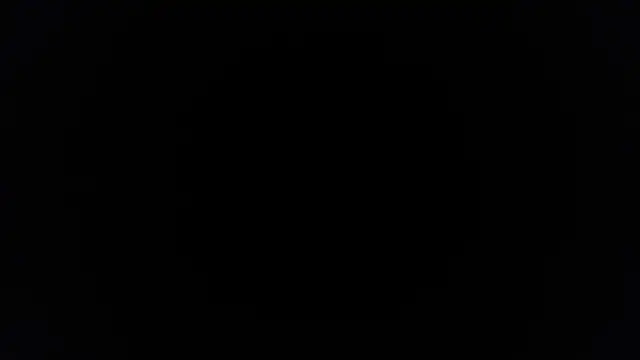 Snapshot of palidin1 chatting on 25, 11, 2025 palidin1 online show from 25, 11, 2025