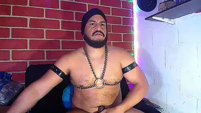 Snapshot of the_master_foal_ chatting on 14, 1, 2025 the master foal online show from 14, 1, 2025