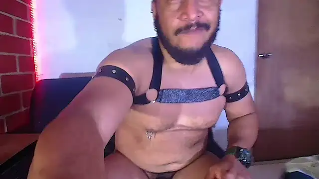 Snapshot of the_master_foal_ chatting on 6, 2, 2025 the master foal online show from 6, 2, 2025