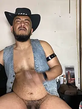 the master foal  online show from 2, 2, 2026