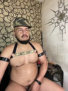 the master foal  online show from 19, 3, 2026