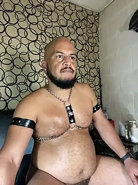 the master foal  online show from 25, 4, 2026