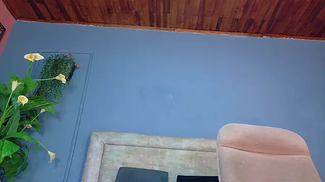 nicol snow online show from 4, 4, 2026