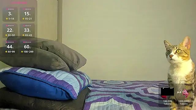 Snapshot of caroline_tovar chatting on 29, 11, 2025 caroline tovar online show from 29, 11, 2025